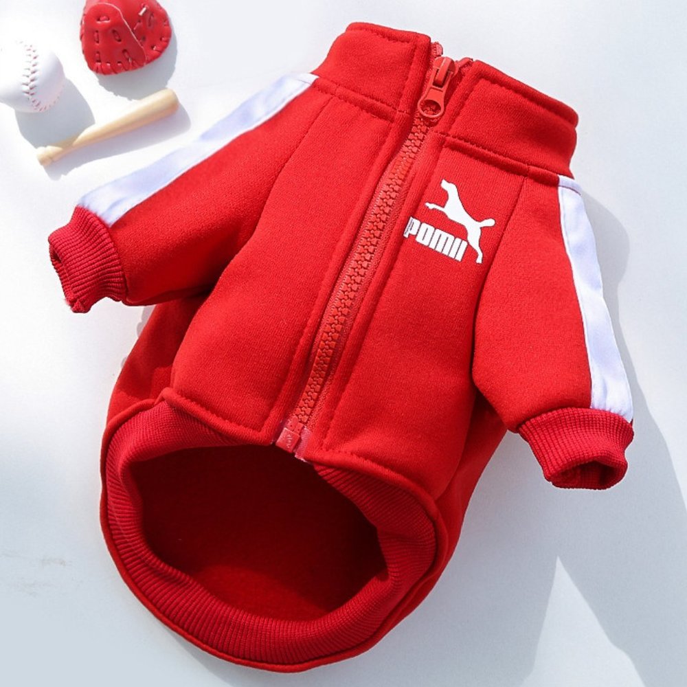 Poma Dog Hoodie Sweater Small Medium Size Warm Jacket